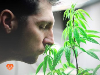 Детоксикация от марихуаны в Новоалтайске